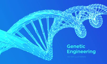 DNA sequence. Abstract 3d polygonal wireframe DNA molecules structure mesh. DNA code editable template. Science and Technology concept. 3d Low Poly Vector illustrationのイラスト素材