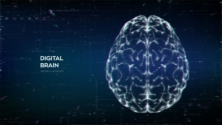 brain. Abstract digital human brain in a distorted glitch style. neural networks. IQ testing, artificial intelligence virtual emulation technology concept. Brainstorm think idea. vector illustrationのイラスト素材