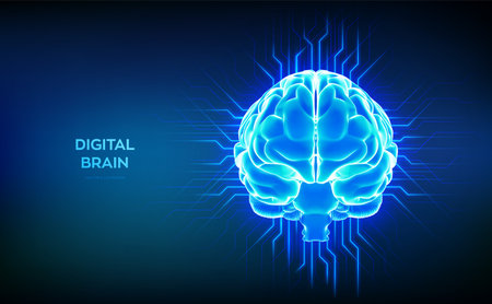 Brain. Futuristic digital brain with electric circuits and neural network connections. Concept of...