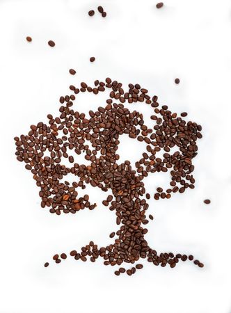 tree drawn from the coffee on a white backgroundの写真素材