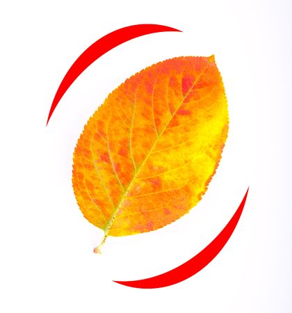 single sheet of yellow and red with a border, isolatedの写真素材