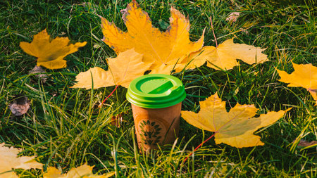 A paper cup of coffee on the grass with autumn maple leaves.