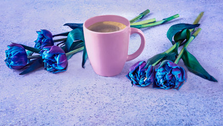 A bouquet of blooming blue tulips and a pink cup of coffee. Still life with spring flowers.の写真素材