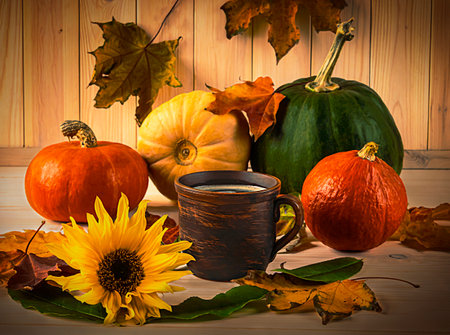 Autumn still life with pumpkins and sunflowers on wooden backgroundの写真素材