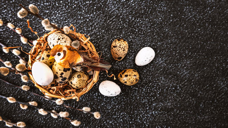 Easter composition on a dark background. Nest with Easter quail eggs and bird, willow branches as decor. view from above.の写真素材