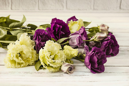 bouquet of eustoma flowers on a white wooden backgroundの写真素材