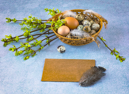 Easter background with a basket of chicken and quail eggs, feathers, green branches and an envelope...