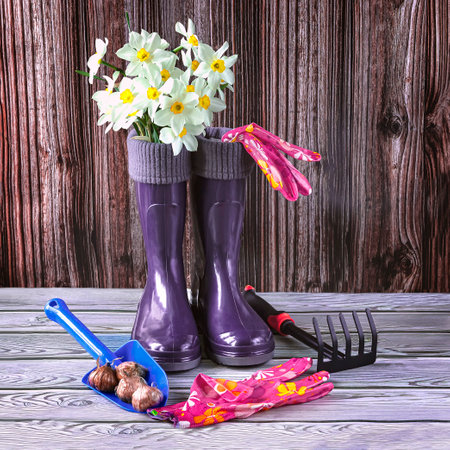 Blue rubber boots, a bouquet of daffodil flowers, seeds and garden tools. Gardening and growing flowers concept.の写真素材