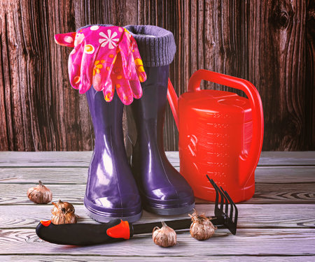 Garden tools and rubber boots on wooden background. gardening concept.の写真素材