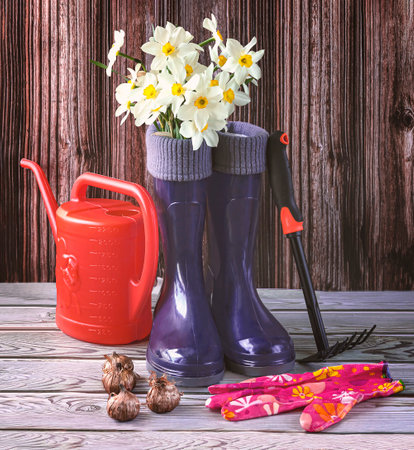 Blue rubber boots, a bouquet of daffodil flowers, seeds and an orange watering can. Gardening and growing flowers concept.の写真素材