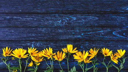 Yellow flowers on blue wooden background. Top view with copy space.の写真素材