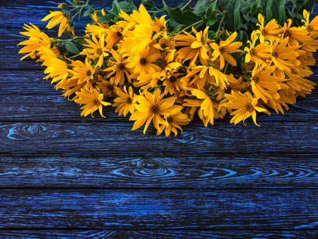 Yellow daisies on a blue wooden background. Top view.の写真素材