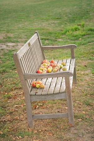 Apples on decorative garden benchの写真素材