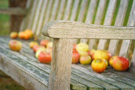 Apples on decorative garden benchの写真素材
