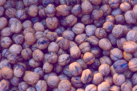 Christmas arrangement of pine, cashew, almond, hazelnuts, peanuts, walnuts, tree branches cones background A mix nutsの写真素材
