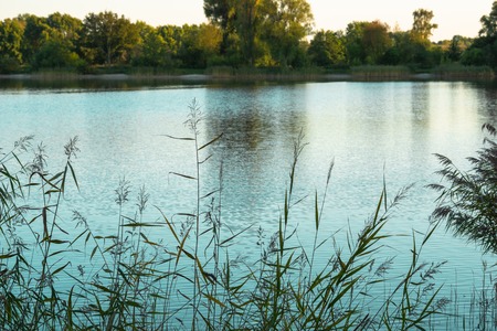 Beautiful view of the lake. Background. Landscape. a lake landscape with reflection from some trees.の写真素材