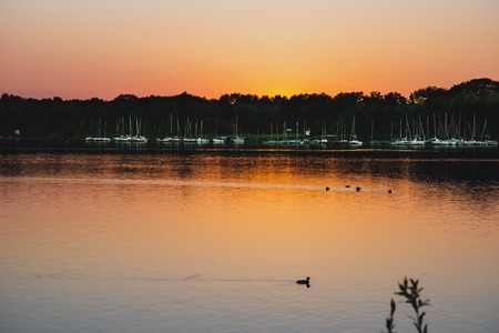 A gorgeous orange blue sunset on the lake, the silhouette of a forest and trees on the horizon and a duck sailing past, leaving ripples on the water.の写真素材