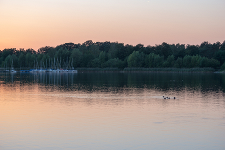A gorgeous orange blue sunset on the lake, the silhouette of a forest and trees on the horizon and a duck sailing past, leaving ripples on the water.の写真素材