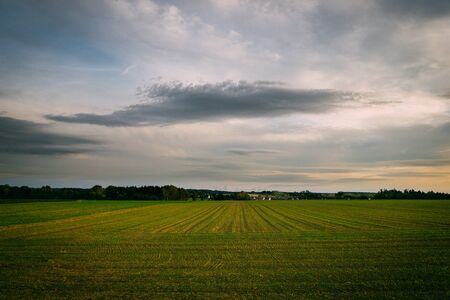 Country road and beautiful valley, nature landscape. Green Field and Beautiful Sunset.の写真素材