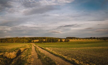 Country road and beautiful valley, nature landscape. Green Field and Beautiful Sunset.の写真素材