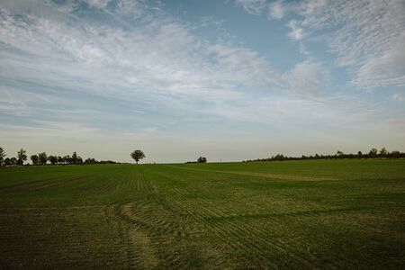 Country road and beautiful valley, nature landscape. Green Field and Beautiful Sunset.の写真素材