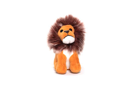 Cuddly lion toy isolated on white background.の写真素材