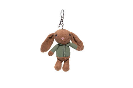 Soft bunny keychain isolated on a white background. high quality photo