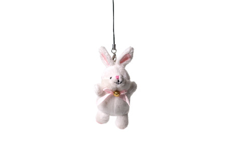 Bunny rabbit toy isolated on white backgroundの写真素材
