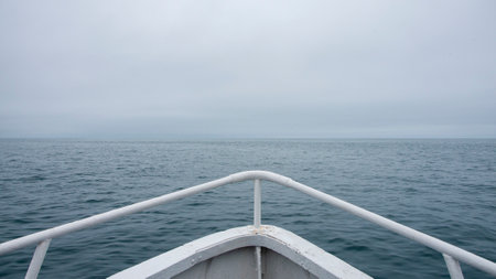 On the bow of the boat. Along the coast of the Kamchatka