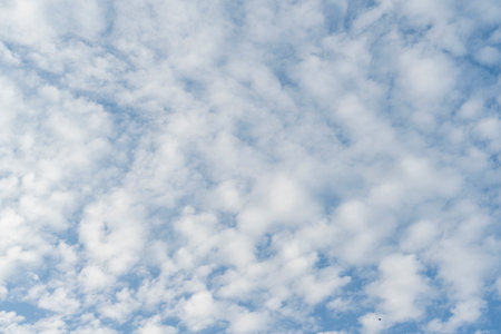 Summer sky with clouds. Cloudscape, sky onlyの写真素材