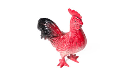 Toy rooster isolated on white background. Beautiful bright plastic toy rooster.の写真素材
