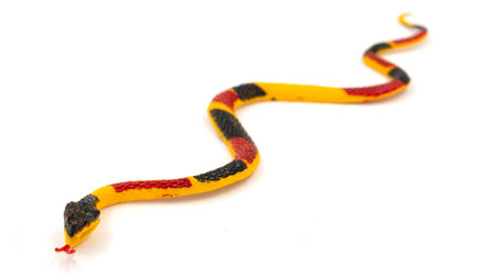 Rubber snake, toy isolated on white backgroundの写真素材