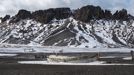 Sea lion sitting in destroyed fisher boat on Deception Island, Antarctica.の写真素材