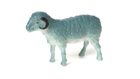 Sheep plastic toy isolated on white backgroundの写真素材
