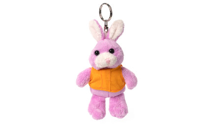 Bunny rabbit toy isolated on white backgroundの写真素材