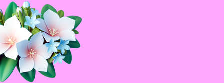 Beautiful abstract flowers. 3D illustration on pink background. Banner format.の写真素材