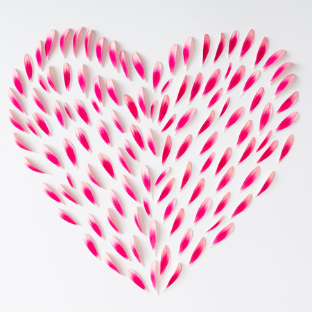 Heart symbol made of pink flower petals. Flat lay.の写真素材
