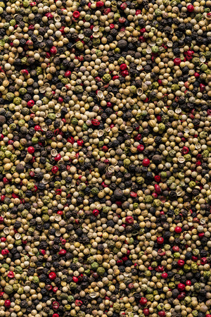 Green, white, red and black peppercorn mix texture backgroundの写真素材
