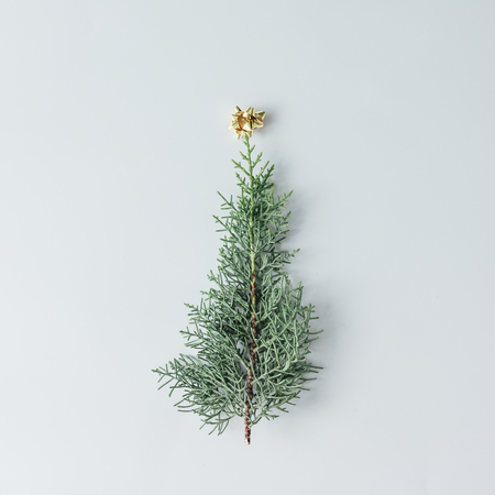 Minimalistic Christmas tree made of evergreen plant on white background.  New Year concept. Flat lay.の写真素材