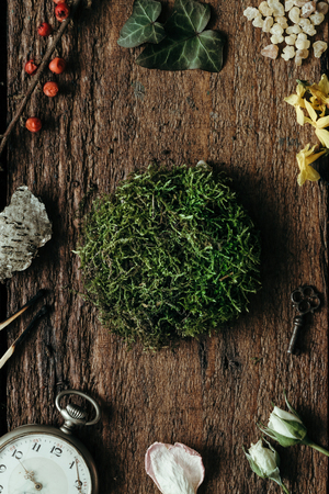 Creative arrangement of vintage things with moss circle. Flat layの写真素材