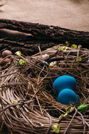 Blue Easter eggs in bird nestの写真素材