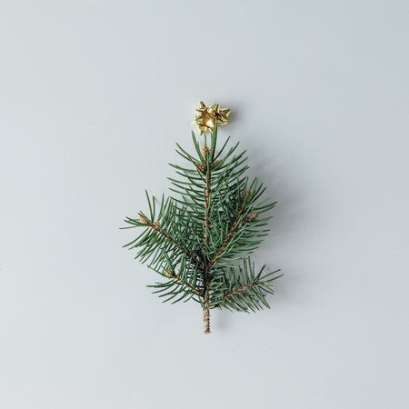 Minimalistic Christmas tree made of evergreen plant on white background.  New Year concept. Flat lay.の写真素材
