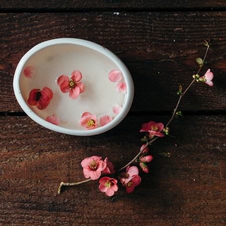 Cherry blossom twig with water bowl on wooden table. Flat lay.の写真素材