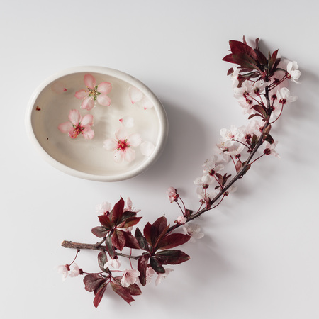 Cherry blossom twig with water bowl on white background. Flat lay.の写真素材