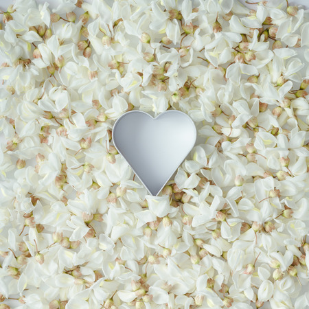 White flowers with heart shape cookie cutter. Flat lay. Love concept.の写真素材