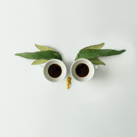 Owl face made of coffee cups and leaves. Flat lay. Coffee concept.の写真素材
