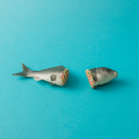 Fish cut in half with colorful sprinkles. Minimal food concept.の写真素材