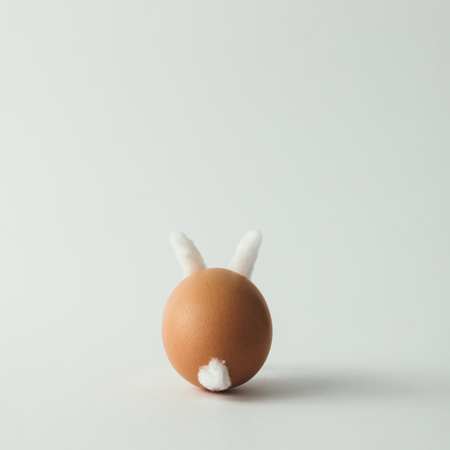 Easter bunny made of egg and cotton diy idea. Minimal easter conceptの写真素材