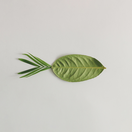 Fish made of green leaves on bright background. Natural food concept. Minimal flat lay.の写真素材