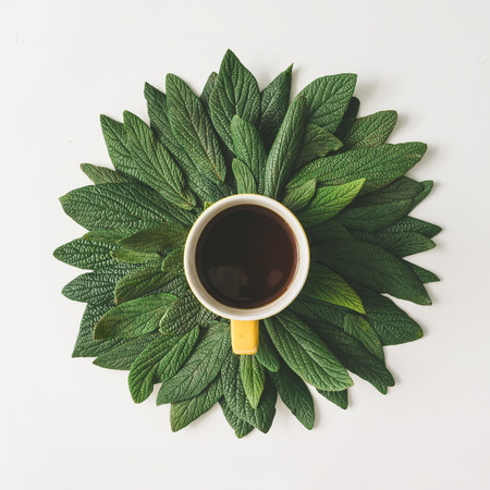 Creative minimal arrangement of green leaves and cup of coffee or tea. Nature concept. Flat lay.の写真素材